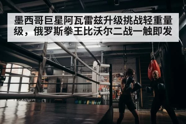 boxer training